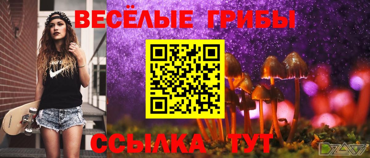 Псилоцибиновые грибы мицелий Саянск