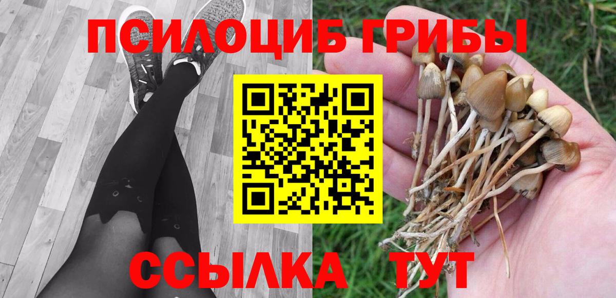 Саянск  Галлюциногенные грибы прущие грибы  Вход с VPN 